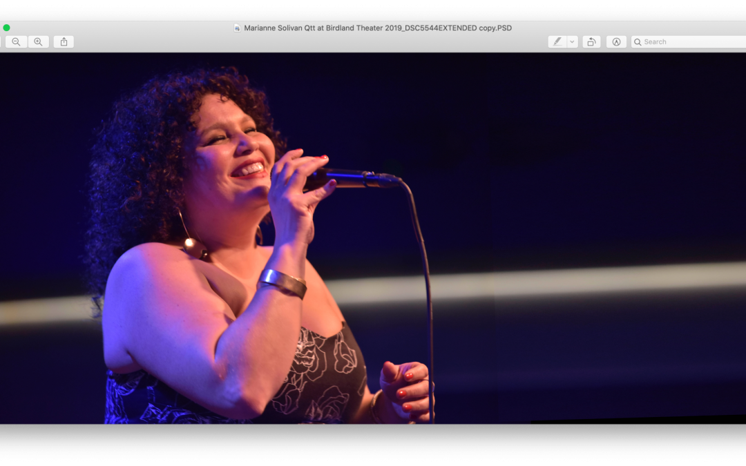 PLG Arts & the One Brooklyn Jazz Festival Present — The Marianne Solivan Quartet